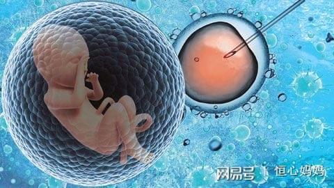 关于 试管代怀公司